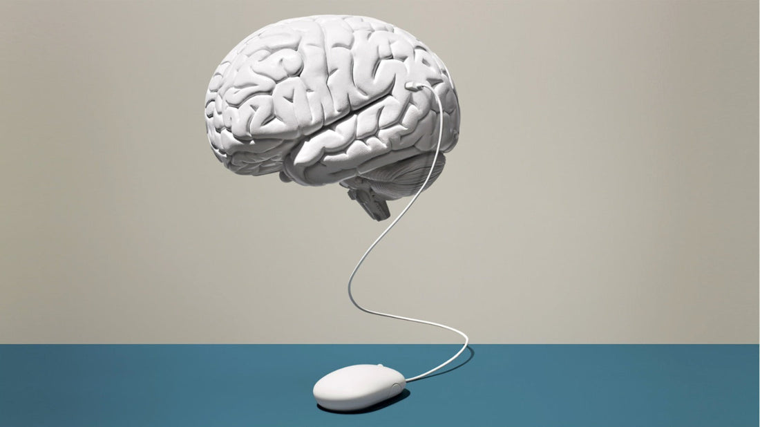 The Art of Focus: Science-Backed Strategies to Improve Concentration & Mental Clarity