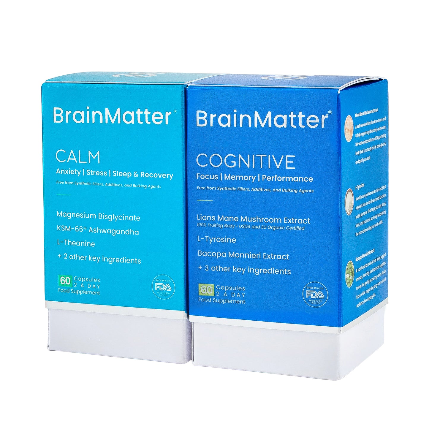 BrainMatter Bundle