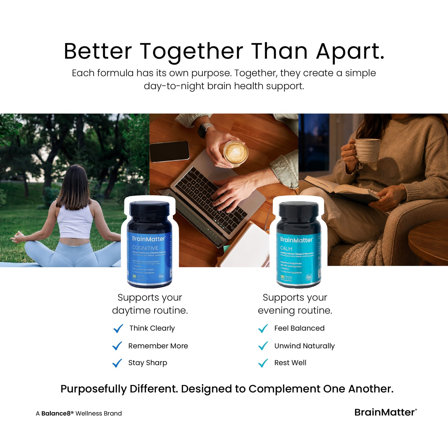 BrainMatter Bundle