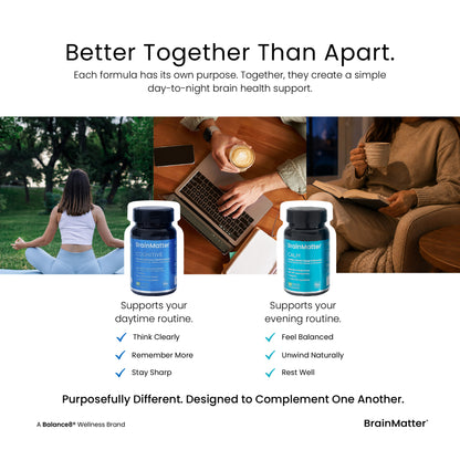 BrainMatter Bundle