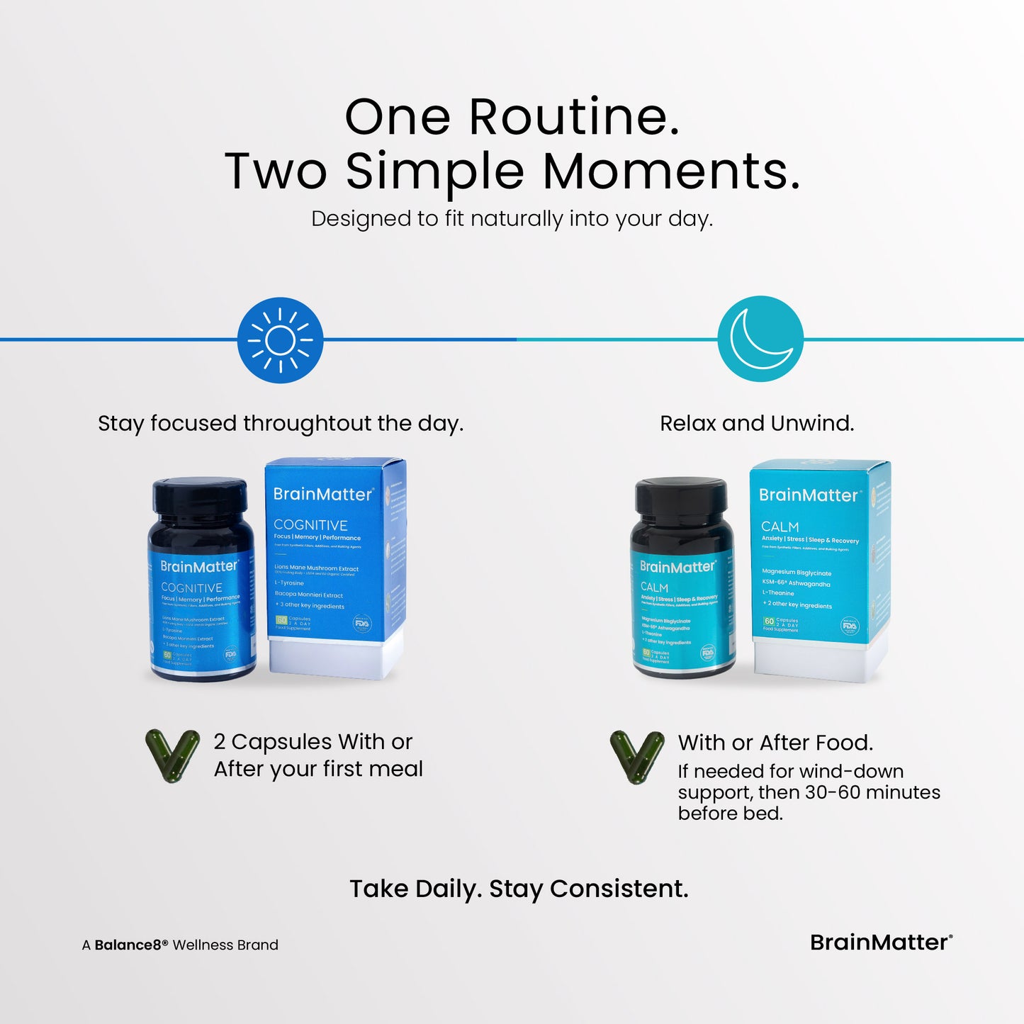 BrainMatter Bundle