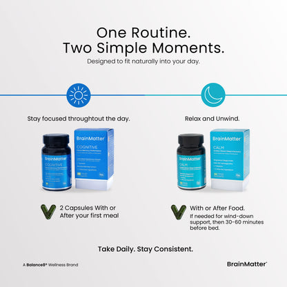 BrainMatter Bundle
