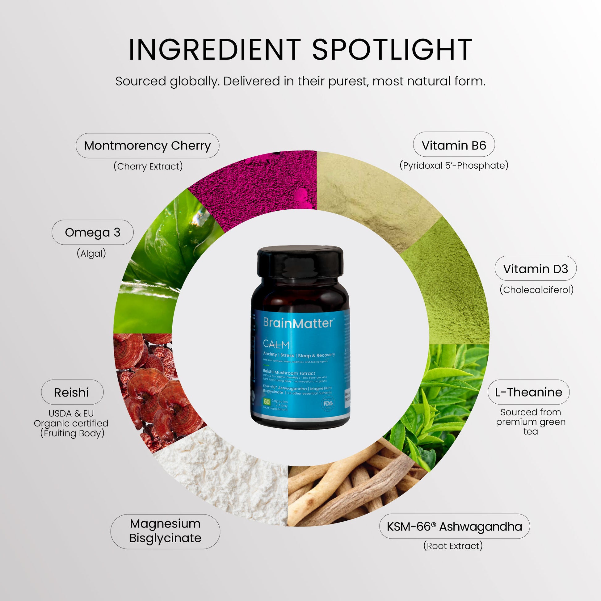 BrainMatter Calm contains 8 natural ingredients such as Ashwagandha, L-Theanine, Magnesium Bisglycinate, Reishi, and more.