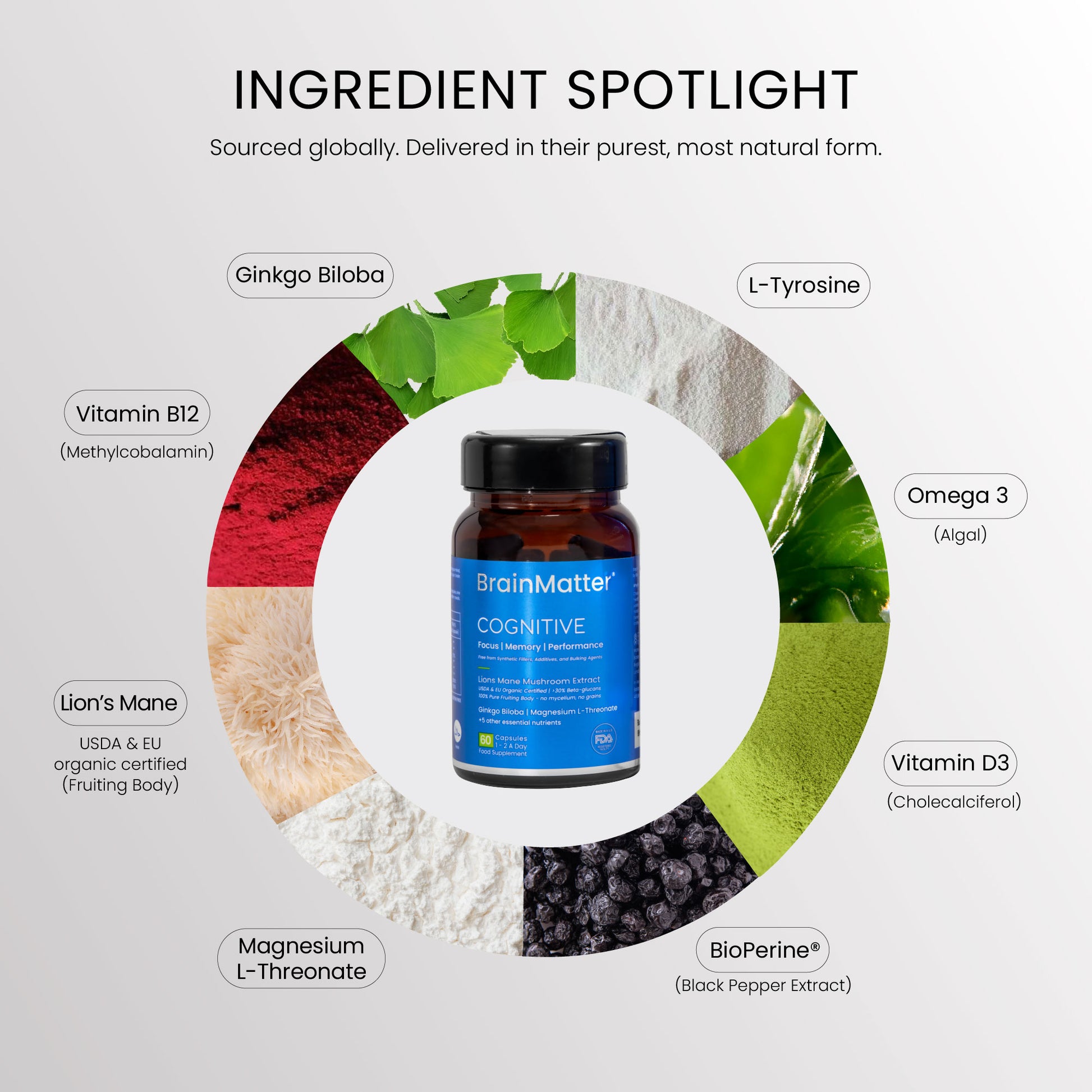 Ingredients used in BrainMatter Cognitive are sourced globally and delivered in their purest, most natural form to reduce brain fog, improve memory, and enhance mental performance.