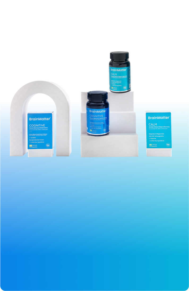 BrainMatter Bundle