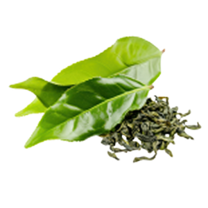 L-Theanine