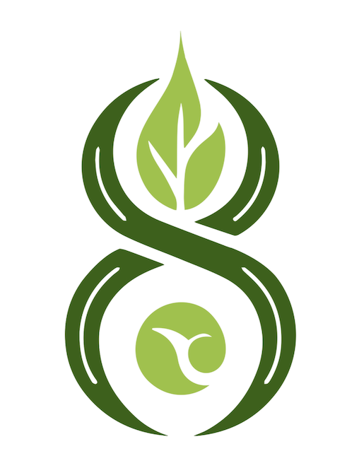 Our Vision