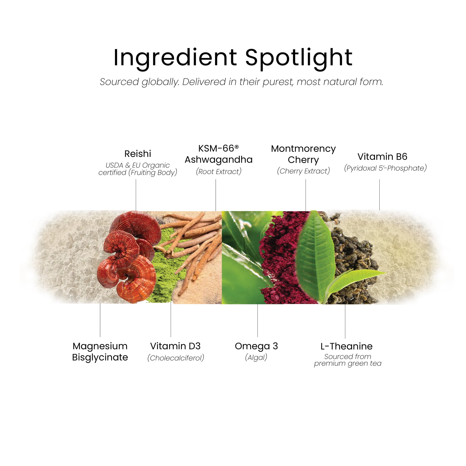 Ingredients used in BrainMatter Calm are sourced globally and delivered in their purest, most natural form to serve it as a supplement for anxiety relief, stress reduction, and improved sleep & recovery.
