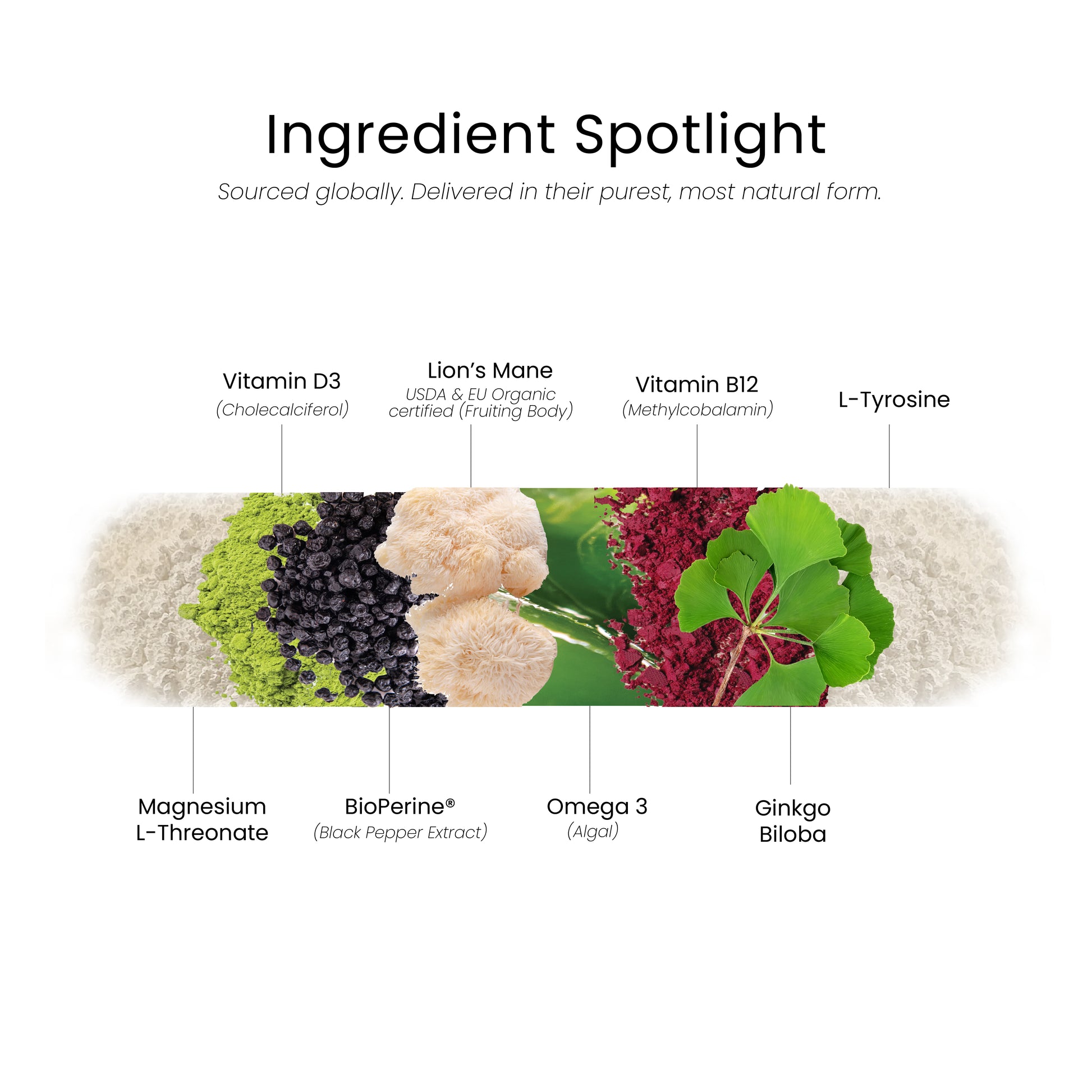 Ingredients used in BrainMatter Cognitive are sourced globally and delivered in their purest, most natural form to reduce brain fog, improve memory, and enhance mental performance.