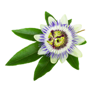 Passion Flower Extract